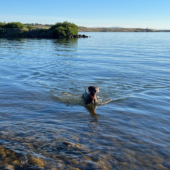 Meet your Posher, Tanja - Picture 3 of 3